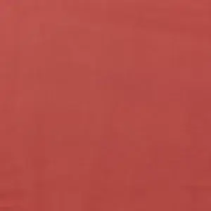 RS Velvet Orange Rose